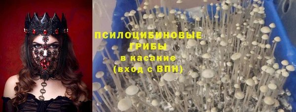 дживик Корсаков